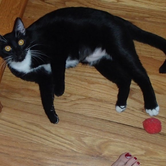 Share My Items And I Will Share Yours - Picture 4 of 7